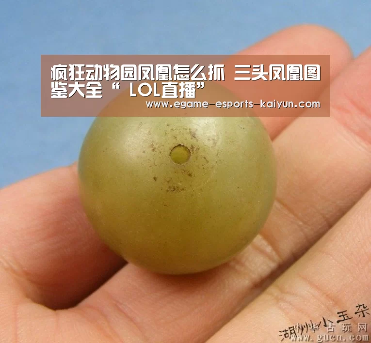 开云电竞