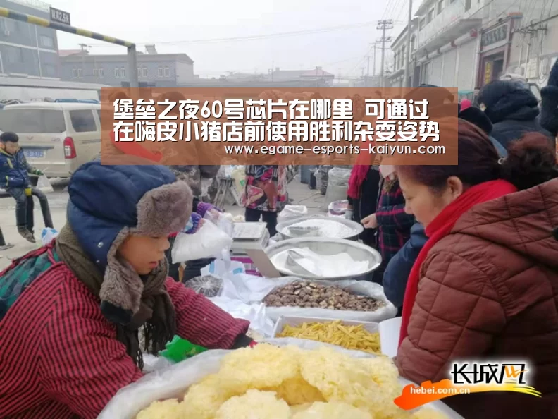  电竞官网