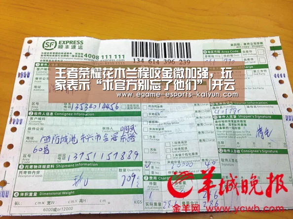 王者荣耀花木兰程咬金微加强，玩家表示“求官方别忘了他们”|开